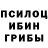 Псилоцибиновые грибы Cubensis Quacken Gaming