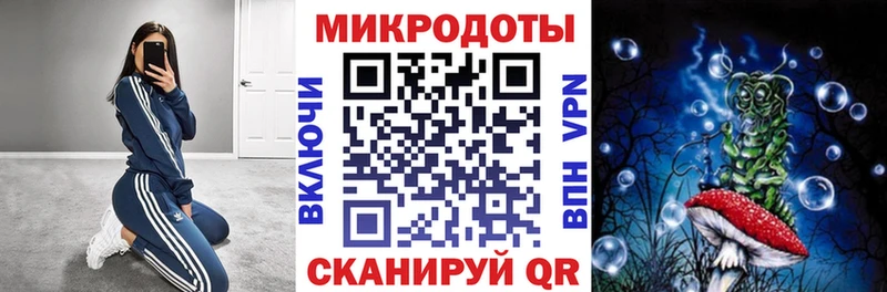 Галлюциногенные грибы мицелий  Купить где  Томари 